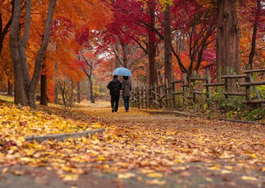 A fase da espera. Casal unido caminhando juntos em uma linda paisagem de outono.